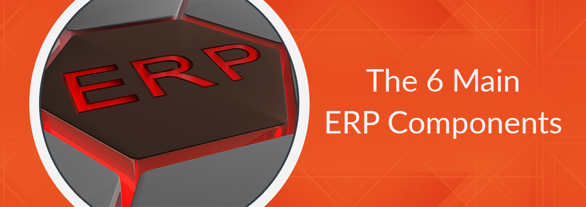 What are the 6 Main ERP Components.png